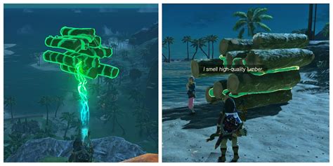lurelin village restoration project logs|Where To Find Logs For Lurelin Village Restoration Project In Zelda.